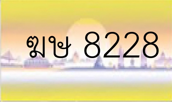 ฆษ 8228